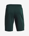 Under Armour Project Rock Terry Iron Short pants