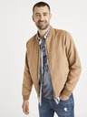 Celio Jacket