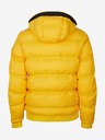 O'Neill Aventurine Winter jacket