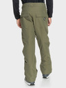 Quiksilver Trousers