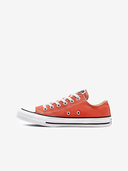 Converse Chuck Taylor All Star Sneakers