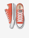 Converse Chuck Taylor All Star Sneakers