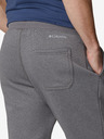 Columbia Logo™ Fleece Jogger II Sweatpants