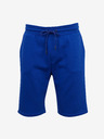 ZOOT.lab Jordan Short pants