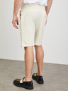 ZOOT.lab Jordan Short pants