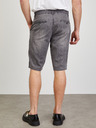 ZOOT.lab Dax Short pants