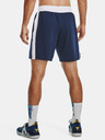 Under Armour UA Project Rock Boxing Short pants