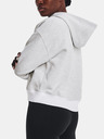 Under Armour Essential Script Hoodie Sweatshirt