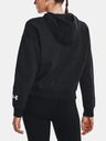 Under Armour Essential Script Hoodie Sweatshirt