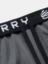 Under Armour Curry Splash 9'' Short pants