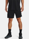 Under Armour UA Baseline 10'' Short pants