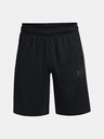 Under Armour UA Baseline 10'' Short pants