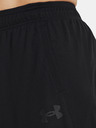 Under Armour UA Baseline 10'' Short pants