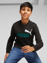 Puma ESS+ 2 Col Kids Sweatshirt