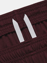 Under Armour UA W's Ch. Knit Shorts