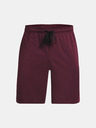 Under Armour Tech Mesh Short pants