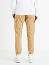 Celio Dolyte Trousers