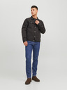 Jack & Jones Mike Jeans