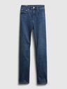 GAP Washwell Jeans