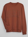 GAP Sweatshirt