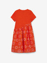 Desigual Andy Kids Dress