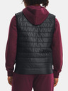 Under Armour Vest