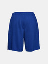 Under Armour Tech Mesh Short pants