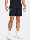 Under Armour UA Baseline Short pants