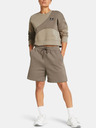 Under Armour UA Essl Flc Relax BF Shorts