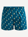 Celio Giwocactus Boxer shorts