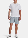 Under Armour UA Woven Emboss Short pants