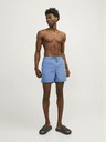 Jack & Jones Fiji Swimsuit