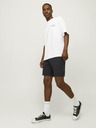 Jack & Jones Ace Short pants