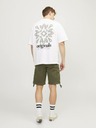 Jack & Jones Cole Short pants