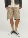 Jack & Jones Cole Short pants