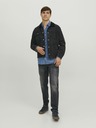 Jack & Jones Mike Jeans