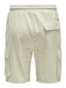 ONLY & SONS Sinus Short pants